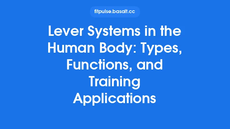 Lever Systems in the Human Body: Types, Functions, and Training Applications Thumbnail