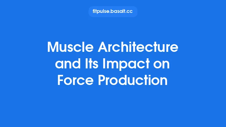 Muscle Architecture and Its Impact on Force Production Thumbnail
